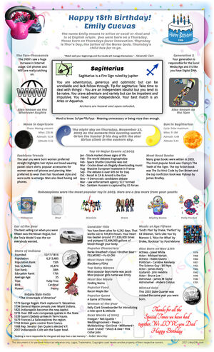 memorable sample 2003 birthday gift idea for woman or man