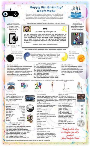 unique sample 2013 birthday gift idea for girl or boy