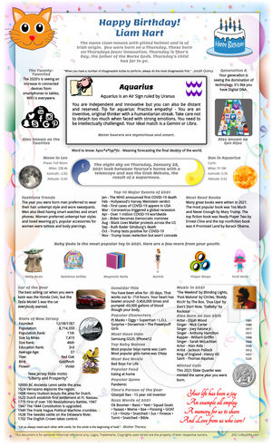 creative sample 2021 birthday gift idea for girl or boy